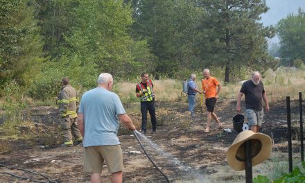 Tool sparks grass fire near homes