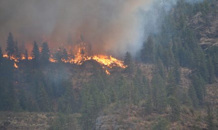 Two Shrike Hill residents feel left out of fire hub