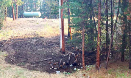 Anarchist crews jump on grass fire