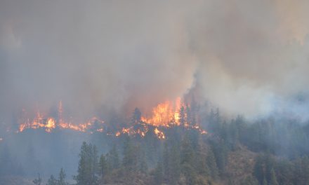 ‘Aggressive’ fire now 300 hectares