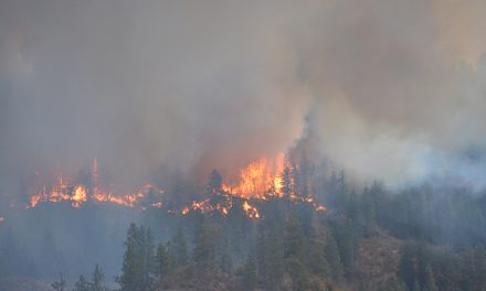 New wildfire challenging for local crews