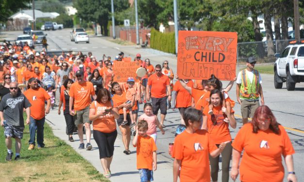 Mental health and wellness supports for residential school survivors