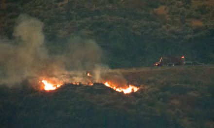 Wildfire by Highway 3 under control