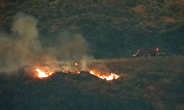 Wildfire by Highway 3 under control