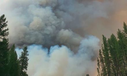 Fire jumps guards at base of Mt. Baldy
