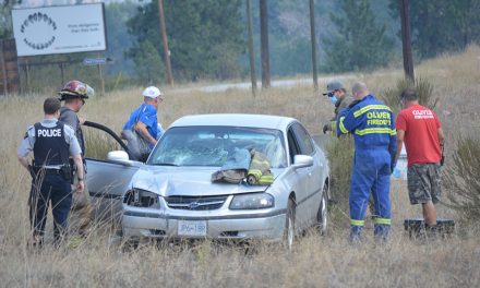 Motorist drives off road