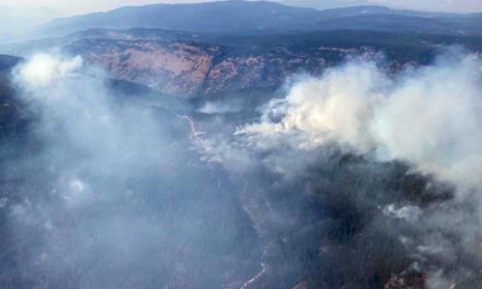 Human cause suspected in Nk’Mip Creek fire