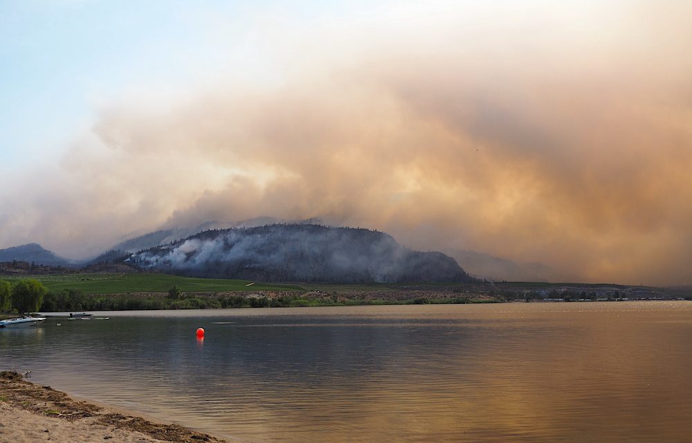 Osoyoos senior’s homes prepared for wildfires