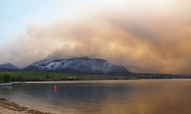 Osoyoos senior’s homes prepared for wildfires