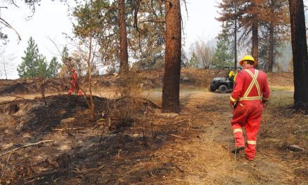 Silent auction big help for Anarchist Mountain Fire Department