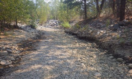 Government declares Level 4 drought in Okanagan