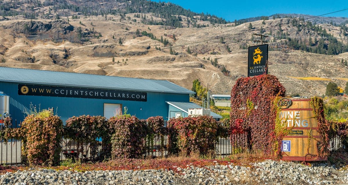 cc jentsch winery