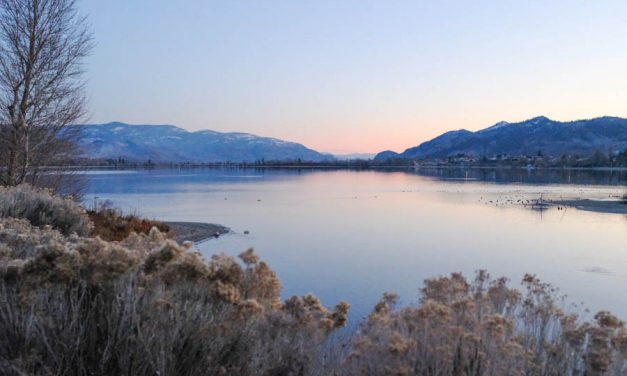 Annual water report flows through council