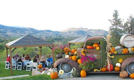 ‘Pigging out’ on a beautiful fall weekend