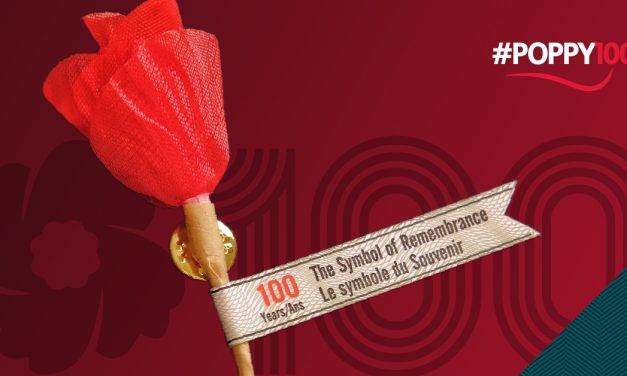 How the poppy became our symbol of remembrance