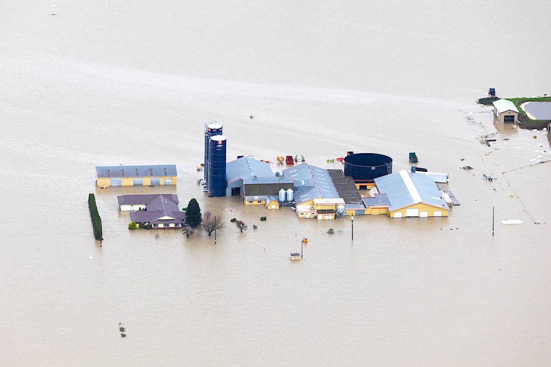 Farms were hard hit in the Sumas Prairie region of the Fraser Valley. Nov 23