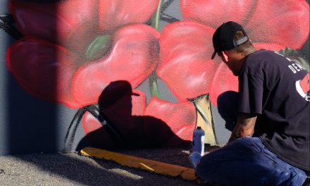 Painting the town: A conversation with local mural artist Mavik