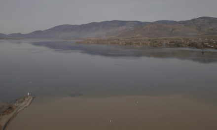 High Similkameen River flows cause Okanogan River to reverse direction