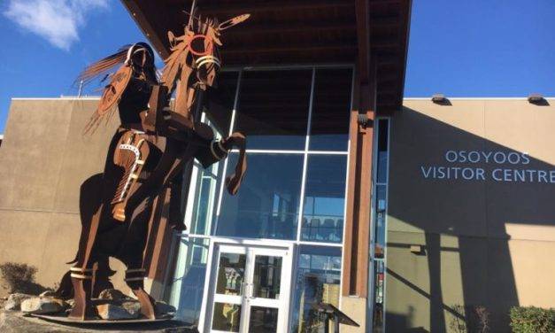 Province helps businesses find ground again