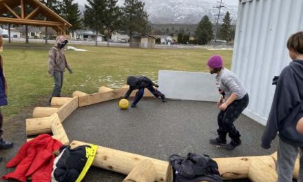 Teaching kids and adults a healthy way to learn