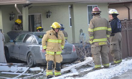 Car crashes into house
