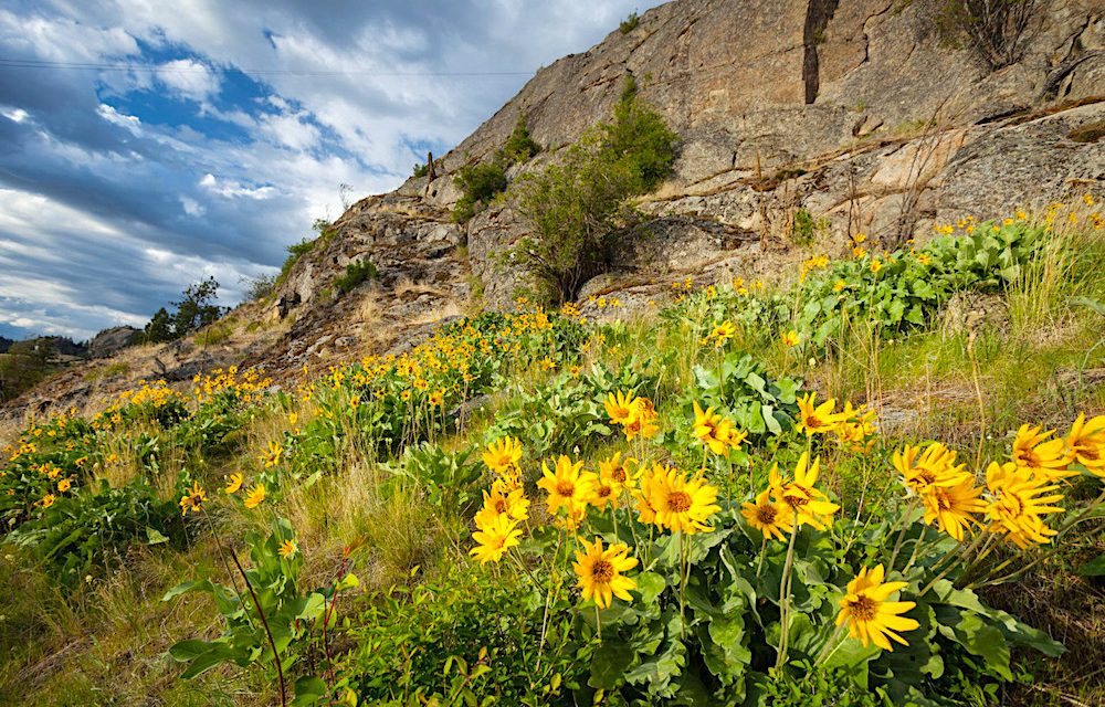 Nature Trust looks to expand Skaha conservation