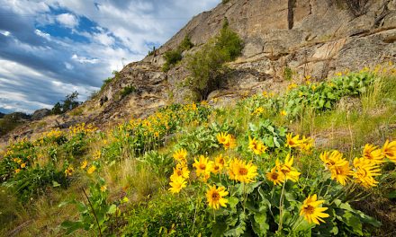 Nature Trust looks to expand Skaha conservation