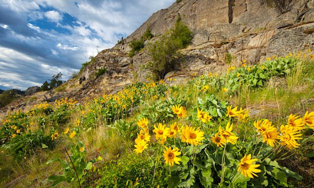 Nature Trust looks to expand Skaha conservation
