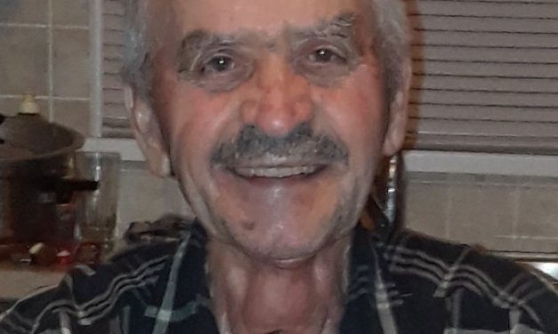 Americo De Carvalho Dinis