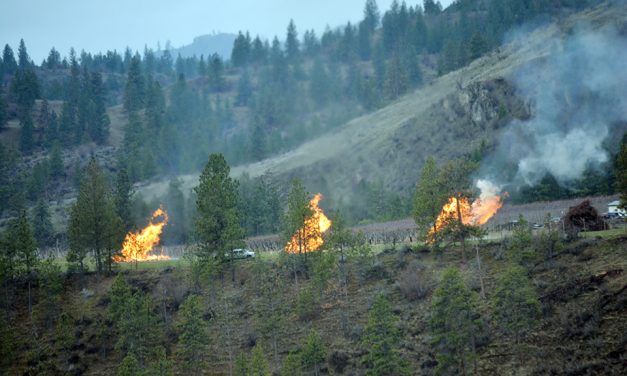 Controlled burn prompts fire call