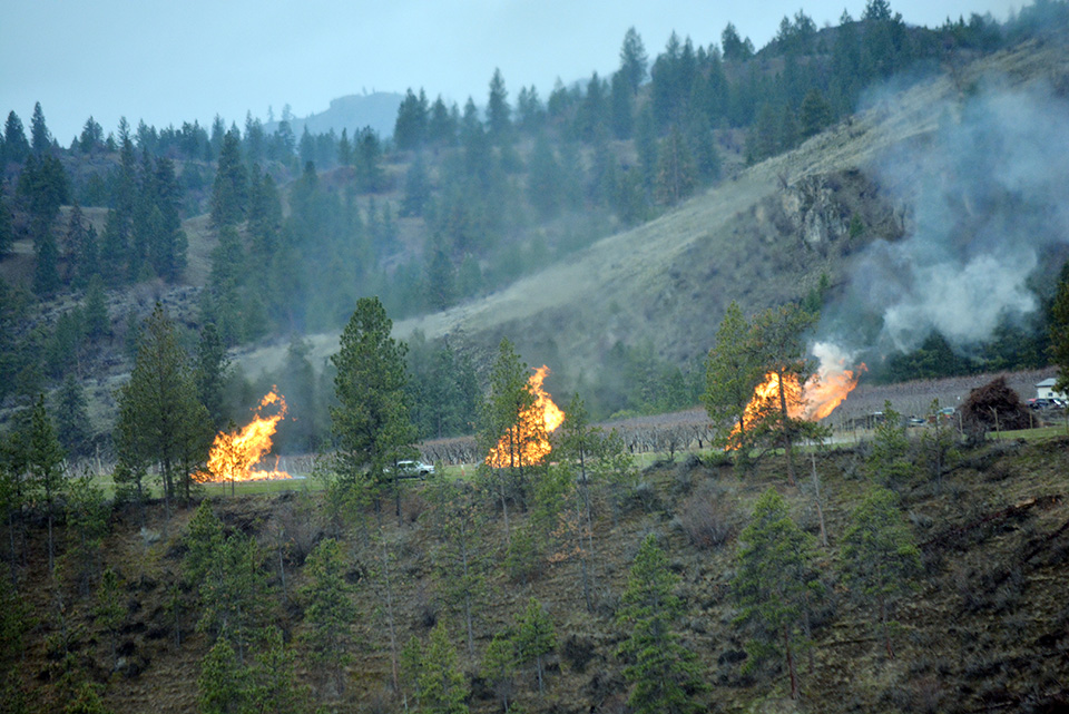 Controlled burn prompts fire call TimesChronicle.ca