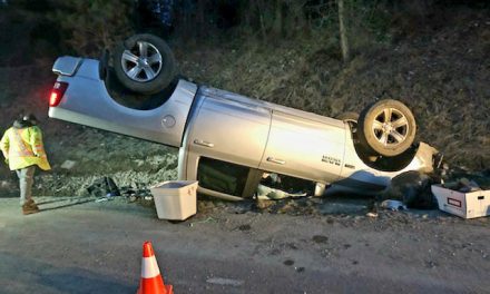 Driver injured after rollover on Anarchist