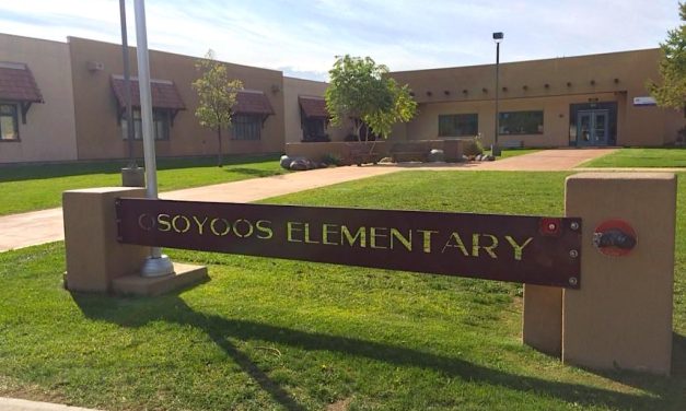 Osoyoos boy victim of dog attack in Edmonton