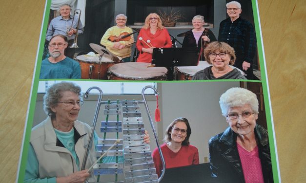 Music lover organizes fundraiser
