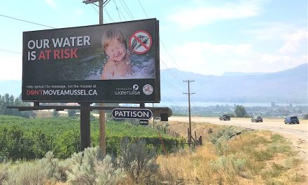 Federal muscle needed to fight invasive mussels