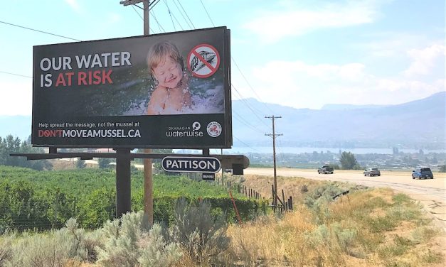 Federal muscle needed to fight invasive mussels