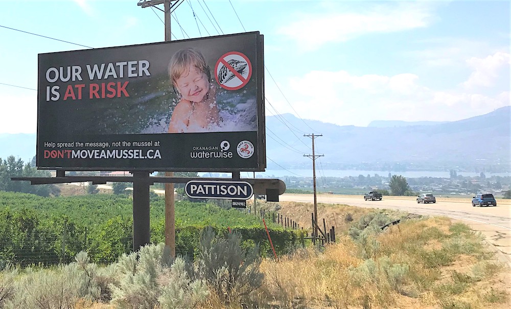 Federal muscle needed to fight invasive mussels