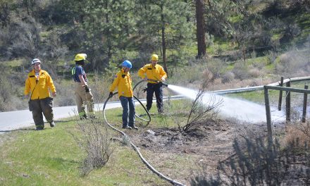 Crews pounce on two grass fires