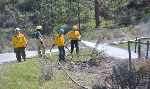 Crews pounce on two grass fires
