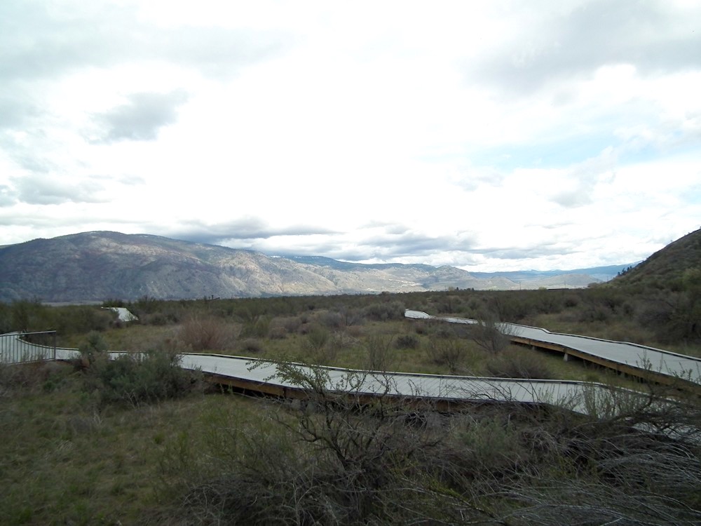 desert centre new boardwalk