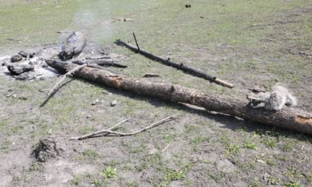 Unattended fire ‘disturbing’