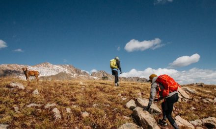 TickTalk: Time to mind the ticks