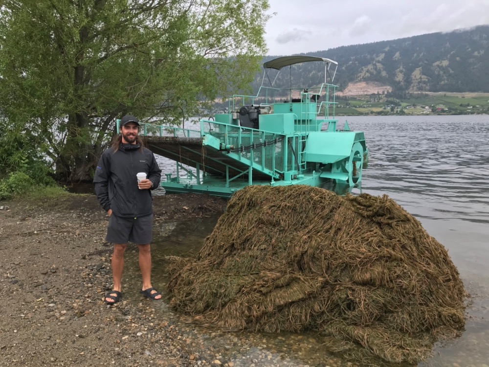 milfoil
