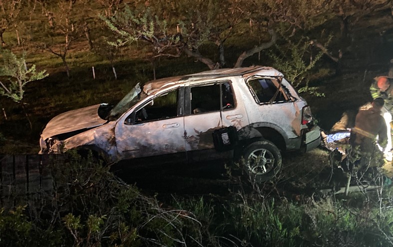Driver and dog injured in rollover