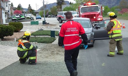 Single vehicle accident leaves woman dazed
