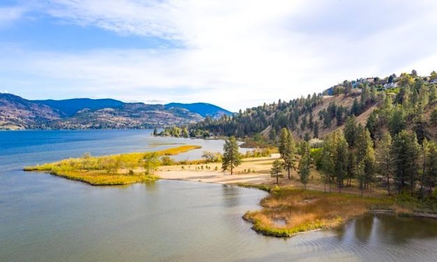 Old ideas bring new life to Okanagan water habitats