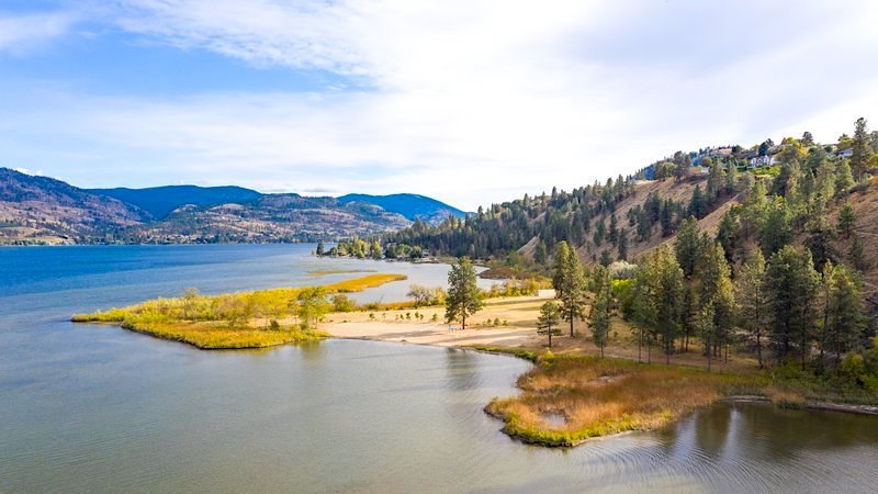 Old ideas bring new life to Okanagan water habitats