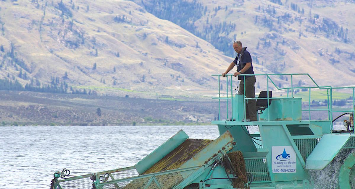 Innovation is the crucial word for milfoil removal