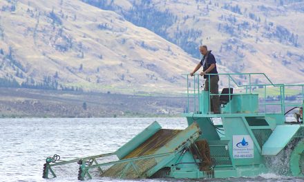 Innovation is the crucial word for milfoil removal