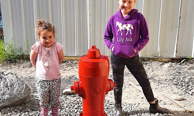 Anarchist Mountain sports its first fire hydrant